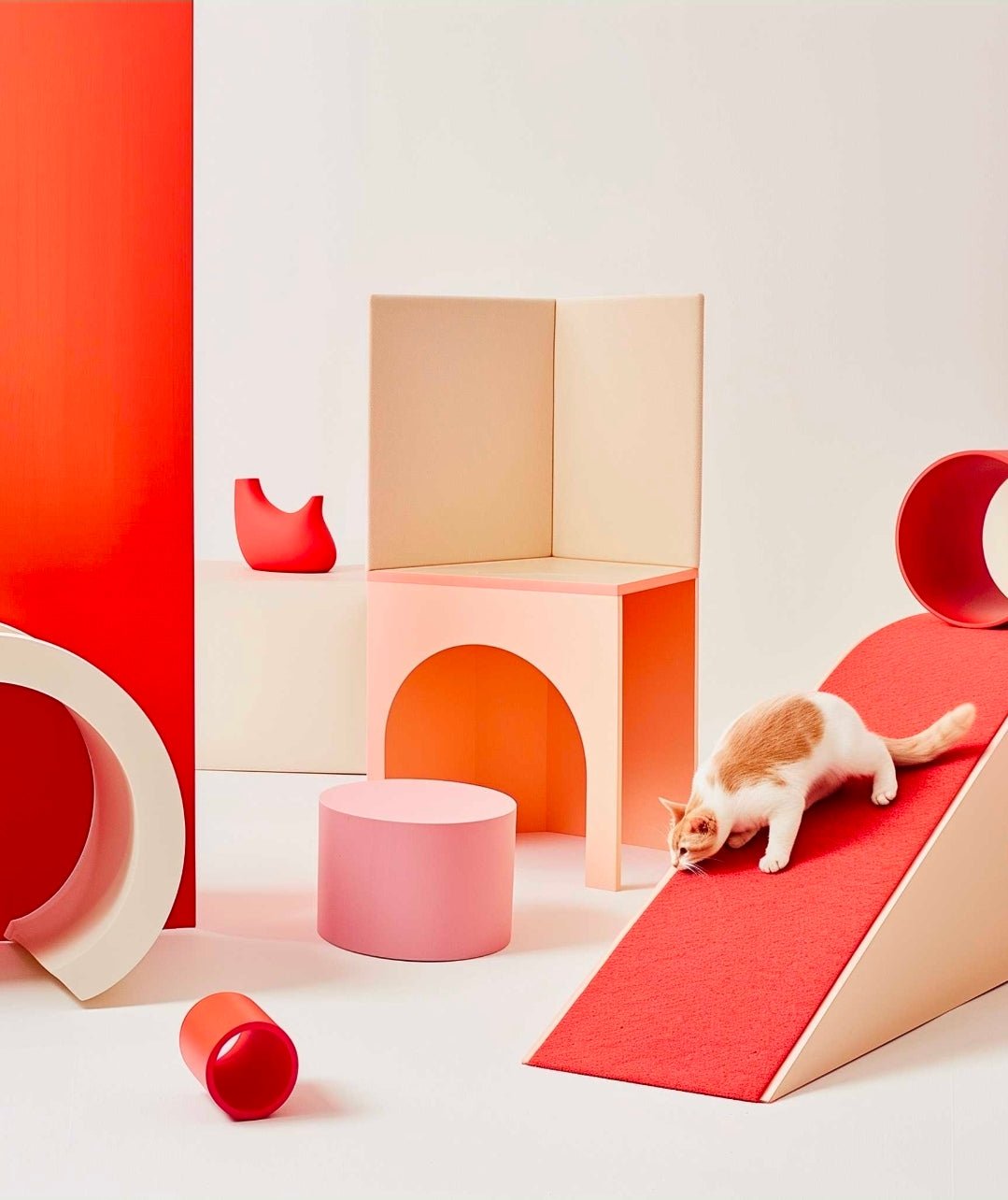 Collection Murale - PawTech Premium