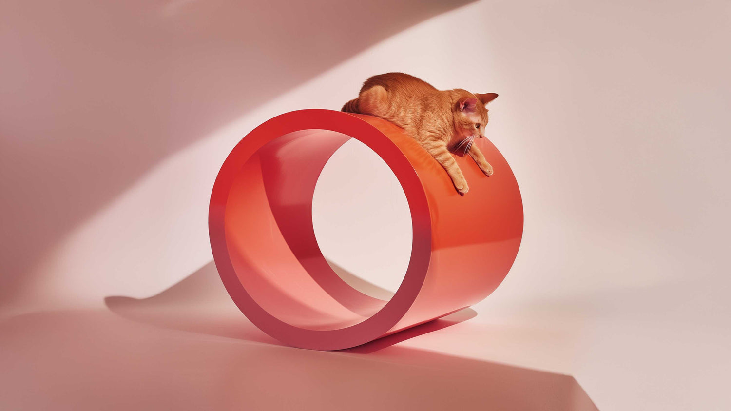 Espaces Partagés - PawTech Premium