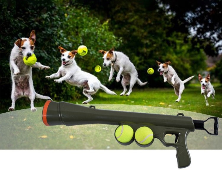 🎯 Jeux & Stimulation