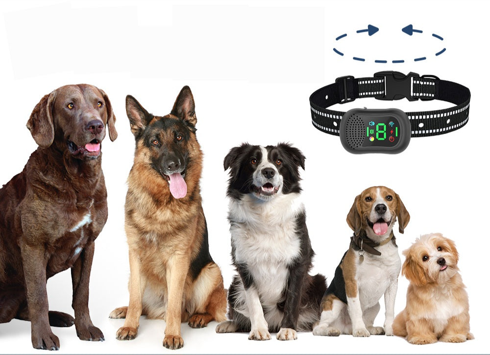 🐾 Tous nos Produits pour Animaux