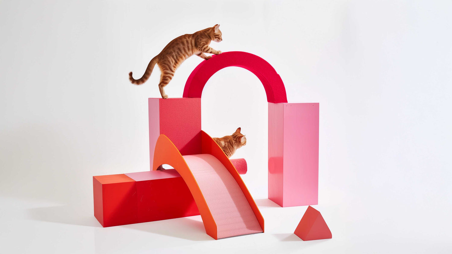 Toute la Collection - PawTech Premium