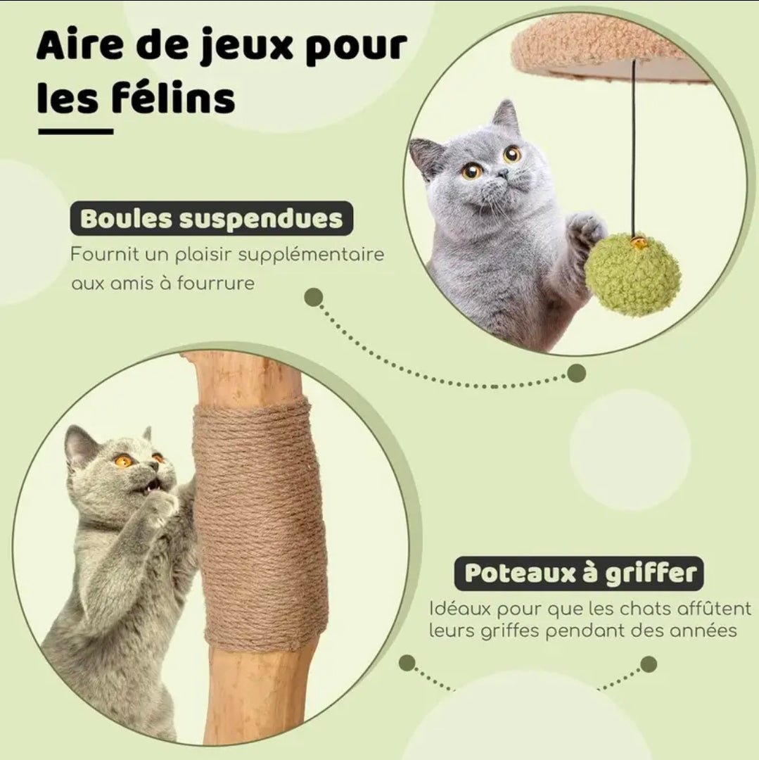 Arbre à Chat Compact Double Niche Beige et Vert 110cm - PawTech Premium
