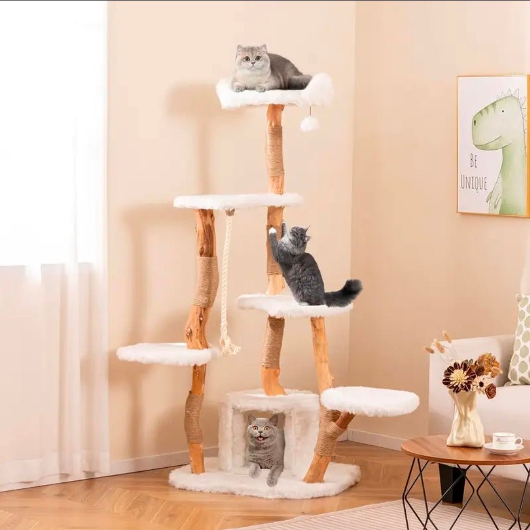 Arbre à Chat Géant Branches Naturelles Multi - Niveaux Premium - PawTech Premium
