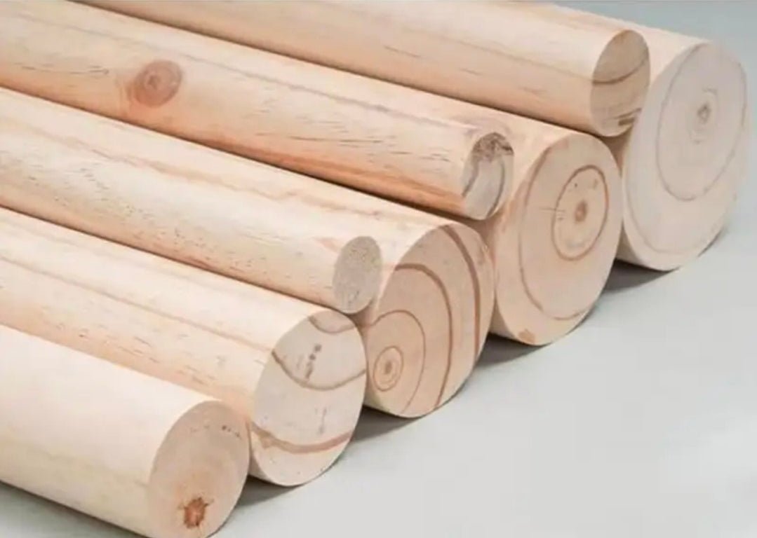 Arbre à Chat Géant Sol - Plafond Ajustable 260cm avec Fixation Plafond - PawTech Premium