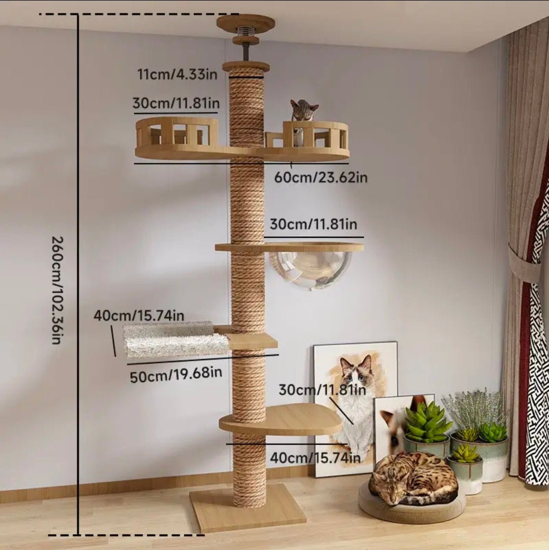 Arbre à Chat Géant Sol - Plafond Ajustable 260cm avec Fixation Plafond - PawTech Premium