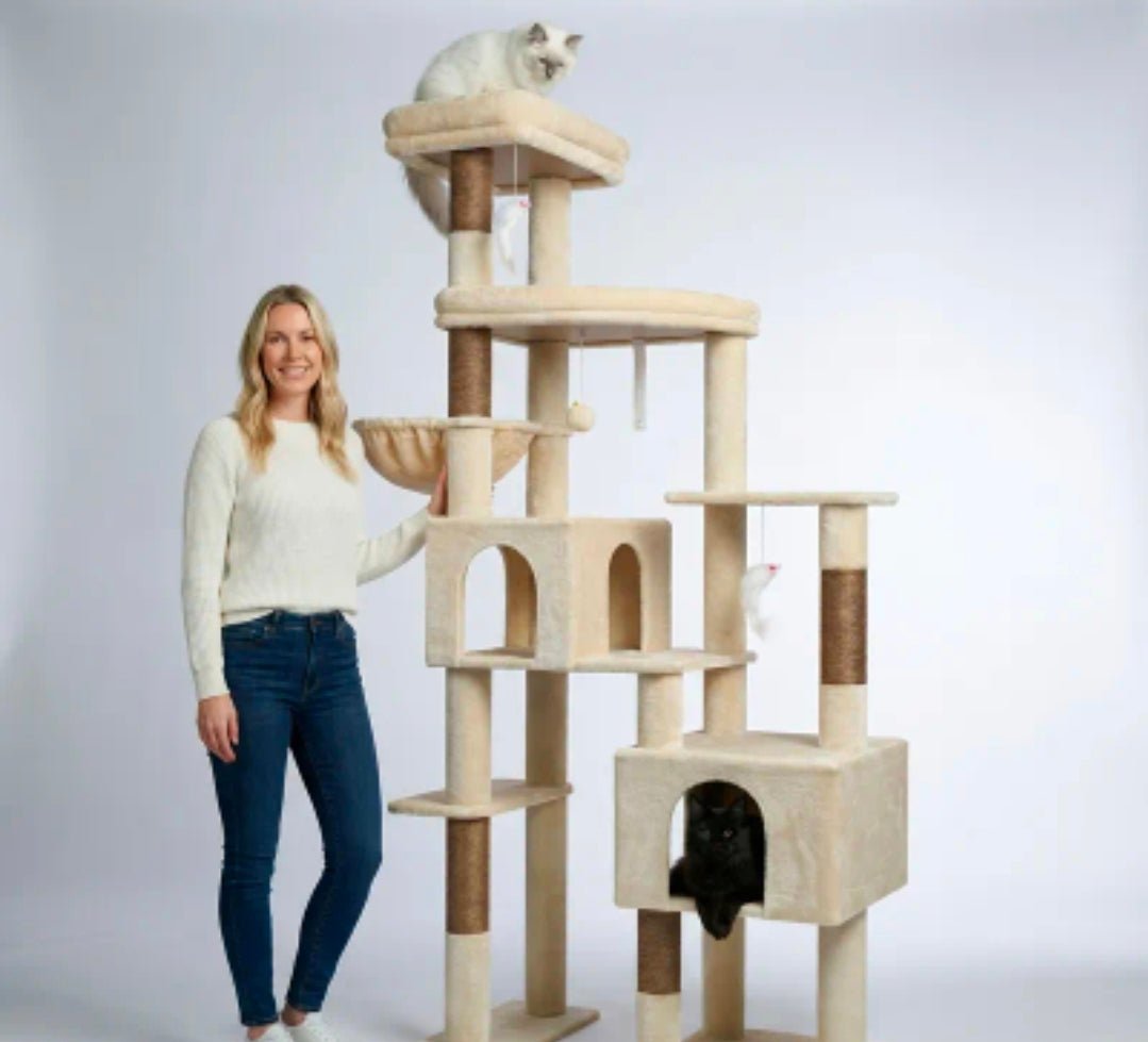 Arbre à Chat Géant XXL Multi - Niveaux Double Niche Blanc et Beige - PawTech Premium