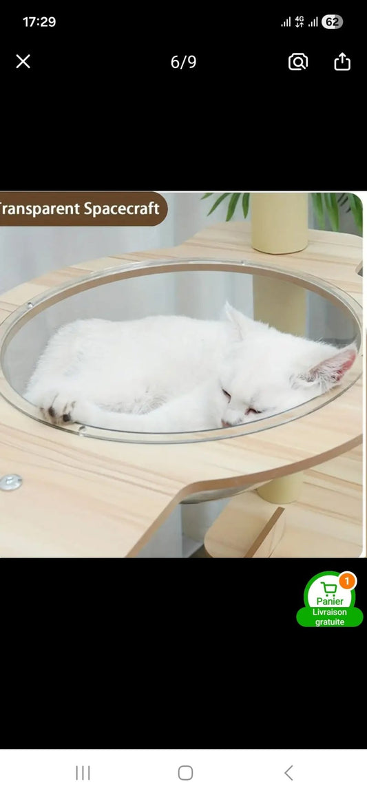 Arbre à Chat XXL Design Zen Hamac Spacecraft Naturel et Blanc - PawTech Premium