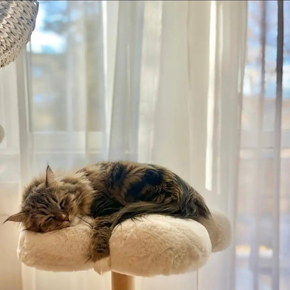 Arbre à Chat XXL Design Zen Hamac Spacecraft Naturel et Blanc - PawTech Premium