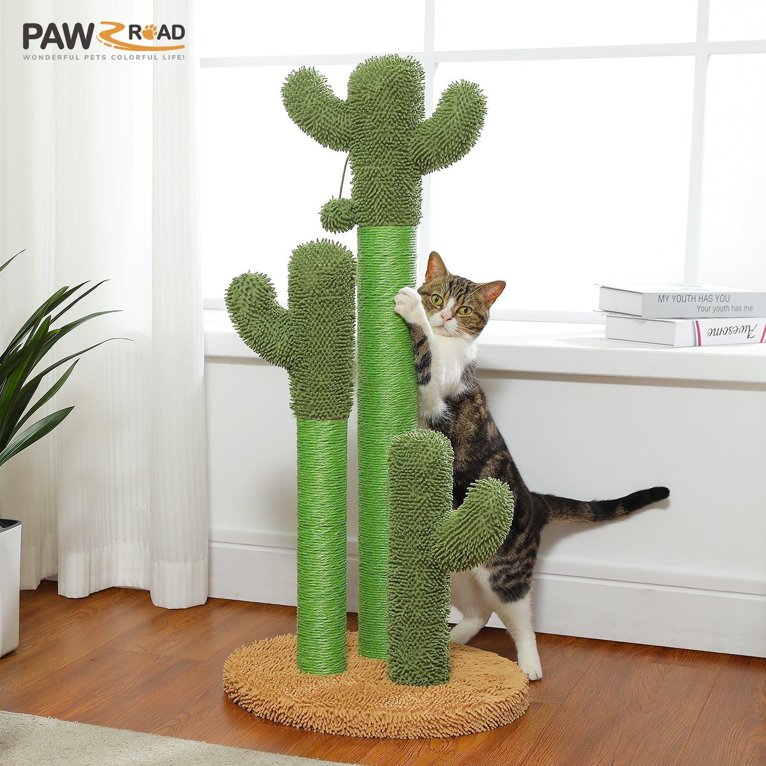 Griffoir Cactus XL 35" en Sisal Naturel Vert avec Jouet Suspendu - PawTech Premium